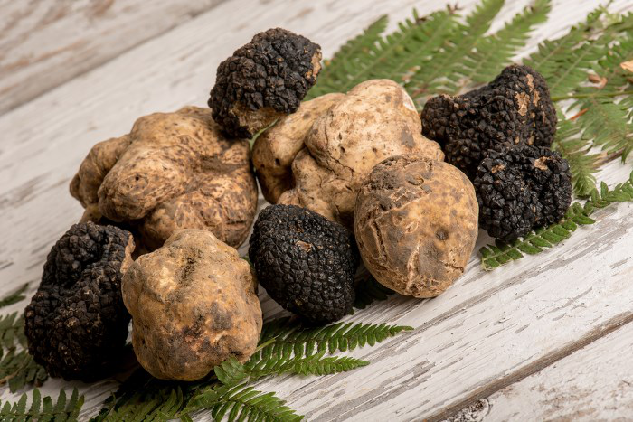 Truffles and truffle specialities